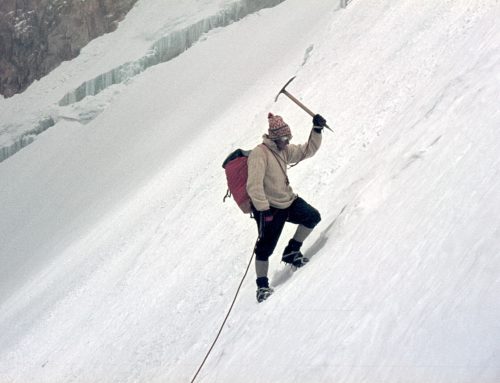 Ice Giants or Inaccessible Beauties, temporary exhibition