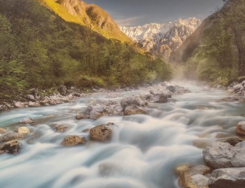 Zemlja Ma / Terra Mia – razstava fotografij in poezije
